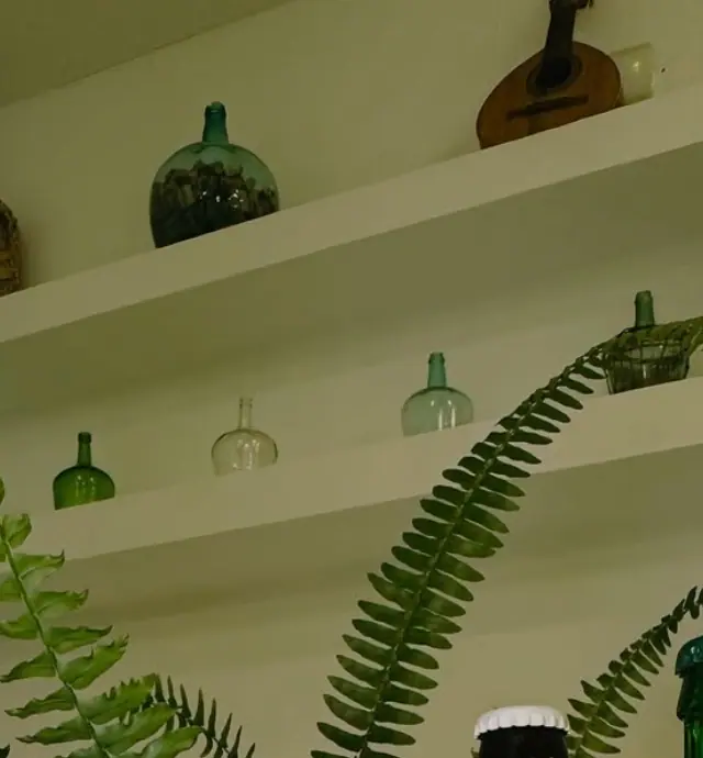 Estantería blanca de obra con garrafones de vidrio verde, cestas y helechos junto a la barra